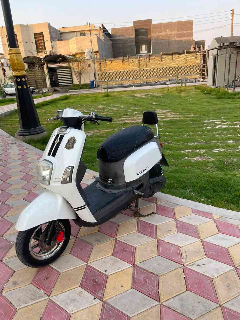 ماكس بوليسي كله ع لبلاد شرط مكينه بلاد مامفتوحه ولا ملعوب بيه كلوبات زنون ربايعه كلوب ملونات نكره سلف اصليه كابريته اصليه مكينه خرررسه مكينه نشطه شرط تجي وشوف بعينك السعر900
الرقم
***********
