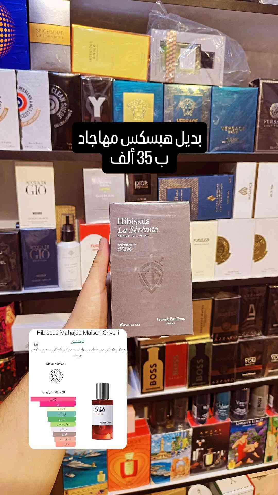 زيرجوف • إريبا بورا • ميزون كريڤلي