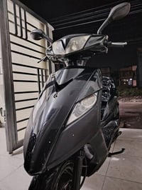 سكنس ثعلب • ١٤٠ • رمبة