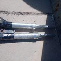 شباب غراض للبيع مكاني بلديات 07716956397 صفاح عدله منغولي صفاح فقط الز...
