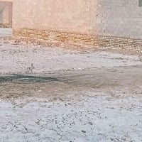 بل حميديه • ١٠٠م • نزول٢٠ ولوج٥