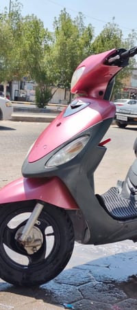 ماكس منغولي • نضيفه • نجف