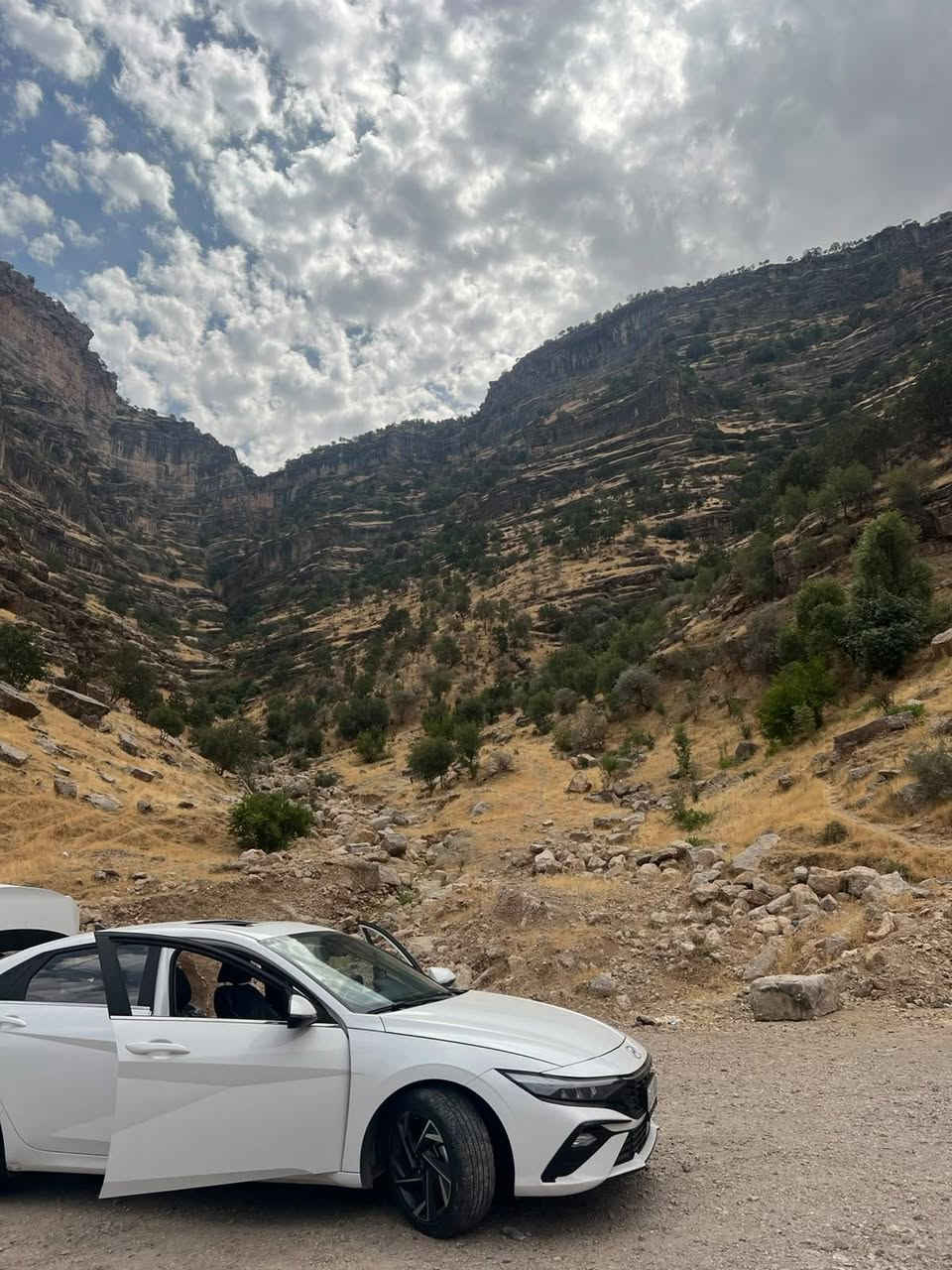 النترا • ٢٠٢٤ • رقم اربيل