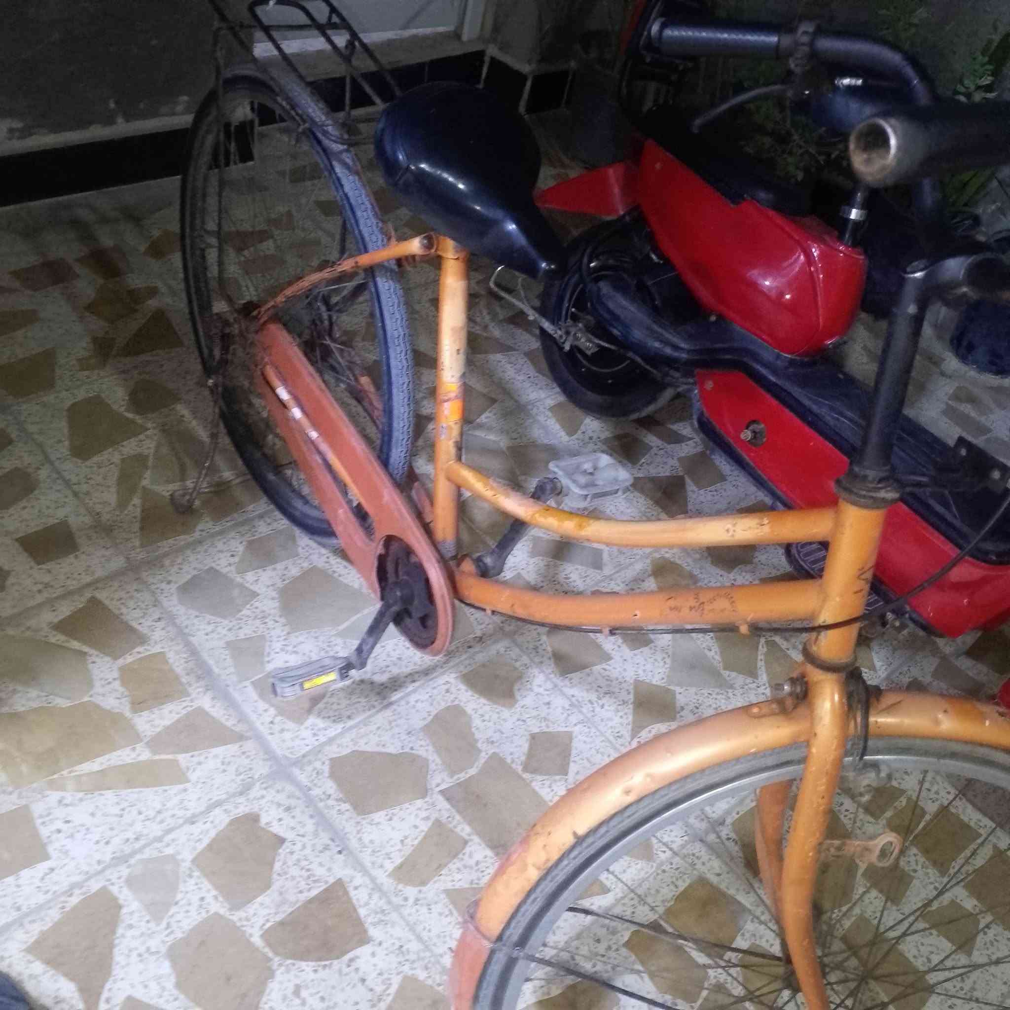 السلام عليكم للبيع دراجه شحن وبيسكل اثنينهن 100وبيهن مجال دراجه شحن طافيه ما اعرف شني بيه ابيع كوم حديد
رقمي ***********بي واتساب

السلام عليكم للبيع دراجه شحن وبيسكل اثنينهن 100وبيهن مجال دراجه شحن طافيه ما اعرف شني بيه ابيع كوم حديد
