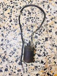 جيفور • تفصيخ • اصليات