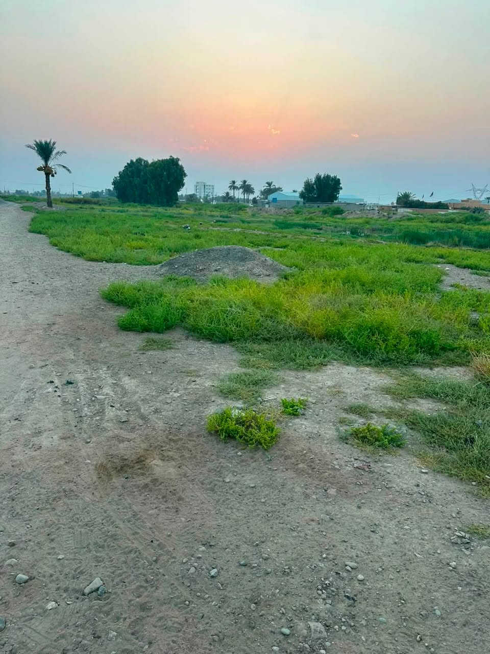 🏡 للبيع ٤ دونم أرض
📍 الموقع: الحسينية – الراشدية – مسقط، نهاية شارع الشركة، خلف معمل الثلج.

📜 طابو صرف – طابو زهور – سند ٢٥
✅ فرصة مناسبة للاستثمار والسكن

📞 للاستفسار:
***********
