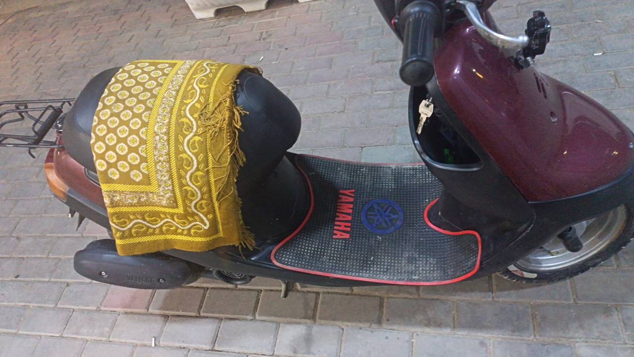 بطه • ٢٠٠٢ • شغاله