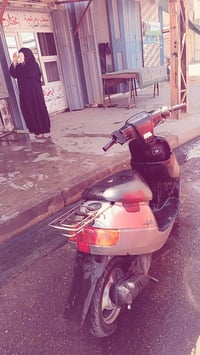 بوتين • سلف • شرط