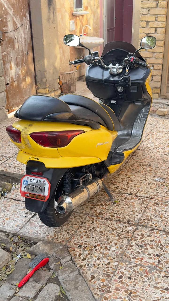 فورزة • 08 • بستم جديد