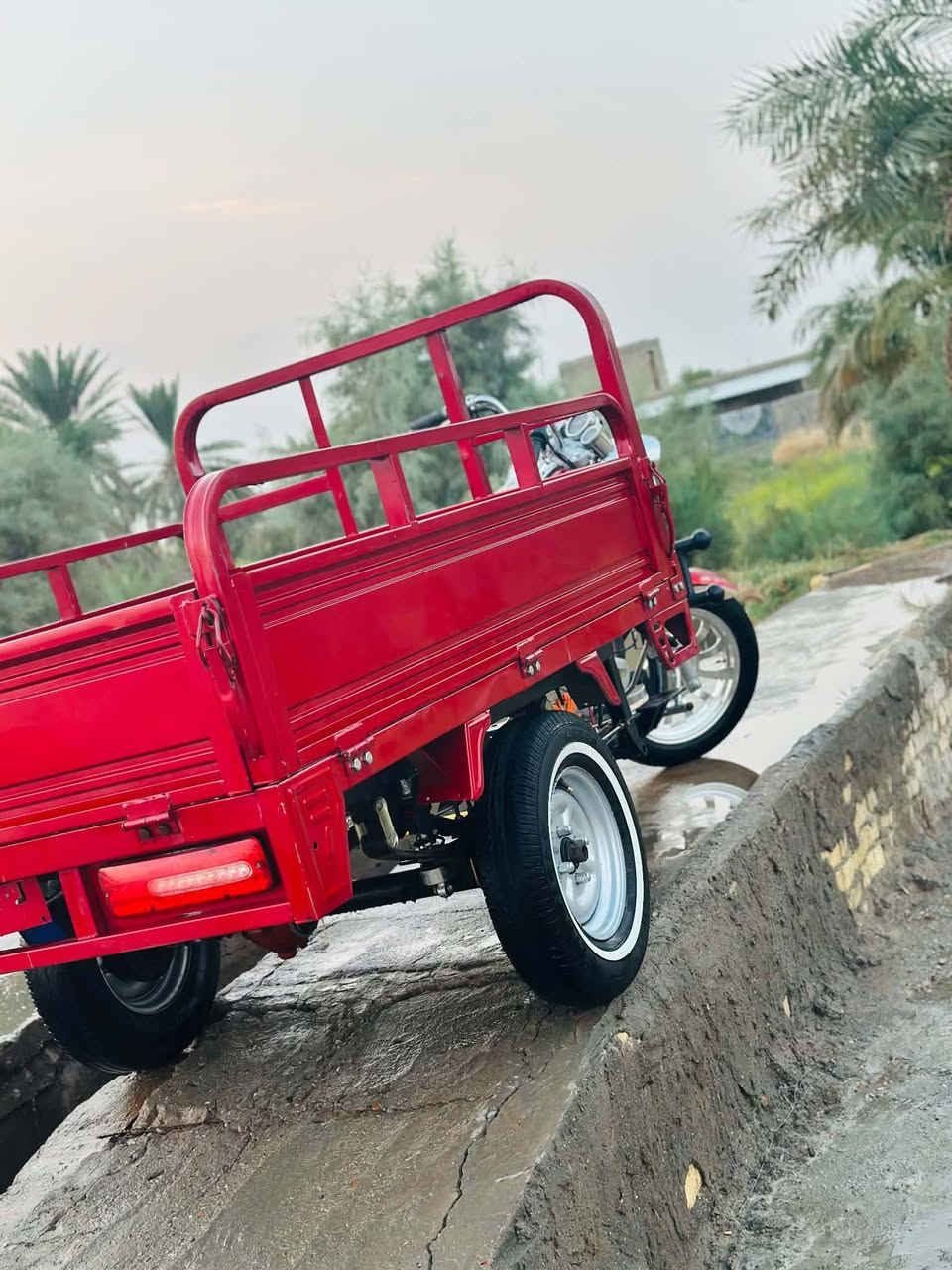 ستوته • ٢٠١١ • أوراق وكمرك مدفوع
