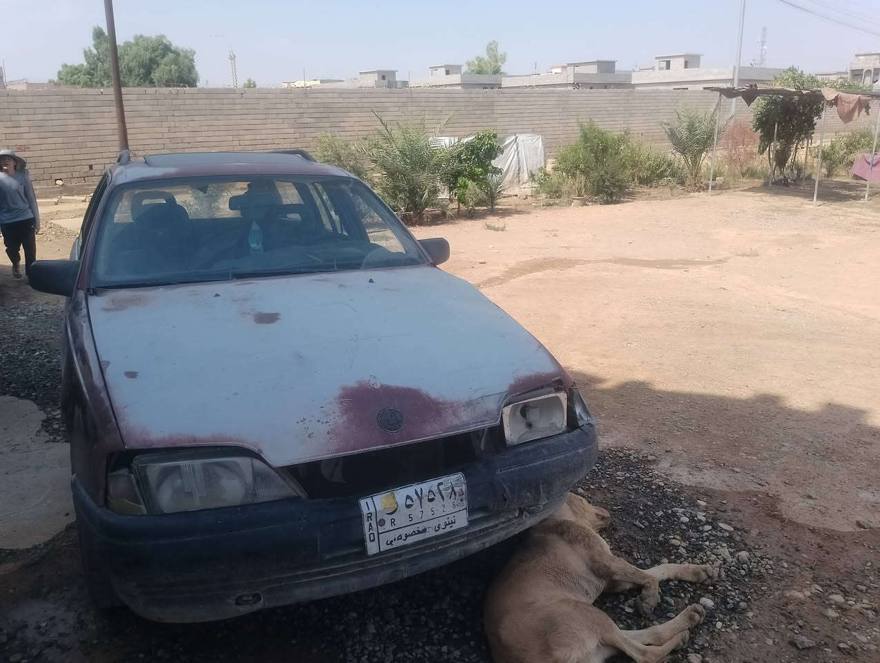 للبيع ثانويه خضراء كابون بنزين طخم تايات جوا النص سياره مال شغل محرك صرف نفخ بي أثر اقبل مراوس
***********

