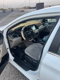 سوناته • ٢٠١٧ • وارد امريكي