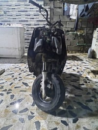 شغاله • ترتيبات • كفرات