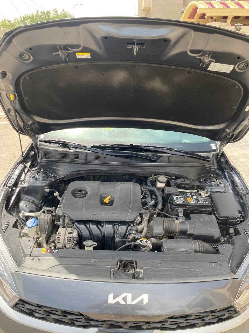 Kia forte 2023 
كيا فورتي موديل ٢٣  لون فيلي رقم بغداد
وارد امريكي حادثها موضح بالصور قطعه وحده صبغ بدون دواخل وبدون ايرباك 
محرك 2000 دوش المرغوب مواصفـات نص فول
ماشية ٢٨ الف
1_ ويل كب
2_ شاشة كبيرة ايباد 
3_ كامرة خلفية 
4_ راداﺮ
5_تحديد مسار 
6_ توقف ذاتي عند الاقتراب
7_ ثلاث وضعيات قيادة نورمال سمارت سبورت 8_ داخل اسود 
9_ وبت سرعة 
10_ تحكمات ستيرن 
11_سيارة مدوشمه بالكامل كشنات + ارضيه جلد + صندوق جلد + كاعيات رزلاين
العده و السبير موجودات 
رادار وحجر بشرط بلادي وسياره حيل نظيفه واقتصاديه وباقي المواصفات المعروفة السعر ١٥٥ وبيها مجال 
📍 بغداد حي القاهره 
للاتصال : ***********
السونار مالتها موجود بغداد, العراق
