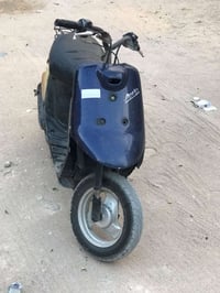 بطه • نضيفه • نشطه