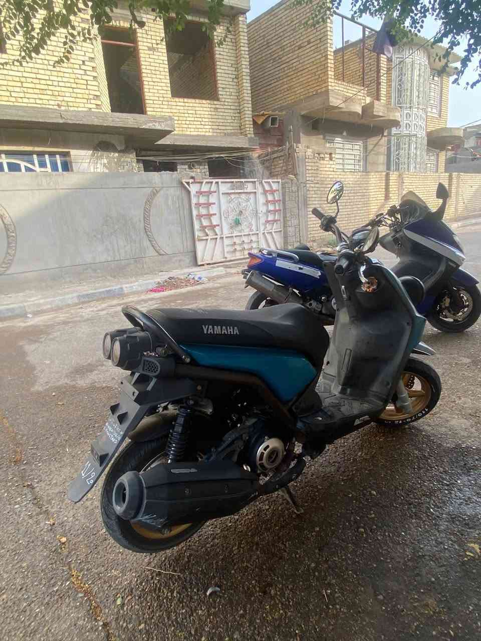 سكنس جبلي • كامله • تزويد