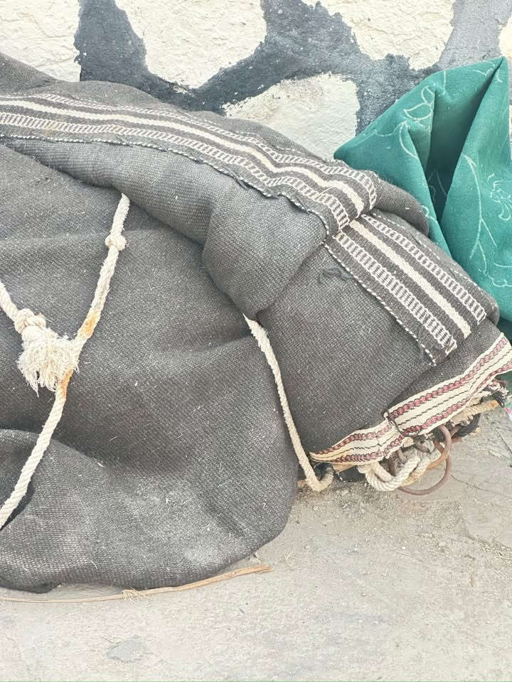 للبيع خيمه بيت شعر طول 10متر وعرض 5متر
تصلح للمواكب او للمزارع جلسه عربيه مع كامل ملحقاتها مكاني حله ابي غرق ***********
