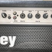 امبلي فاير گيتار • ٨٠ واط • Laney