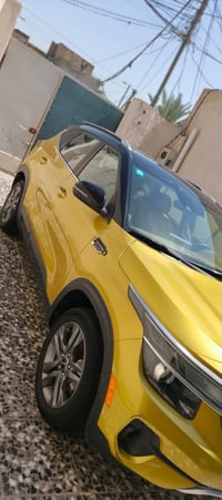 سيلتوس • ٢٠٢٢ • وارد امريكي