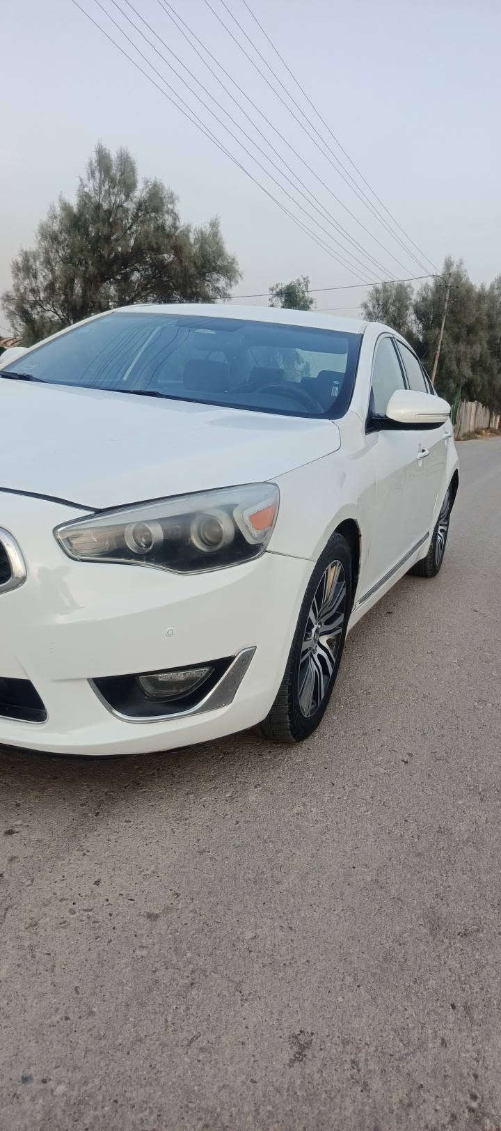 كاتنزا • ٢٠١٤ • تحويل مباشر