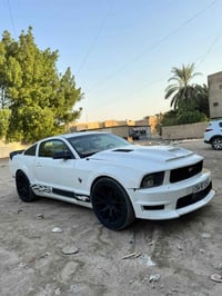 موستنك • ٢٠٠٩ • صبغ عام