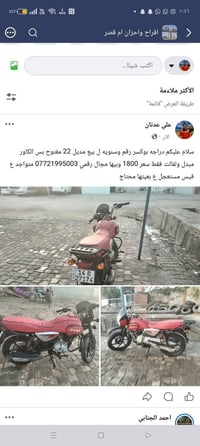 بوكسر • للبيع • صور