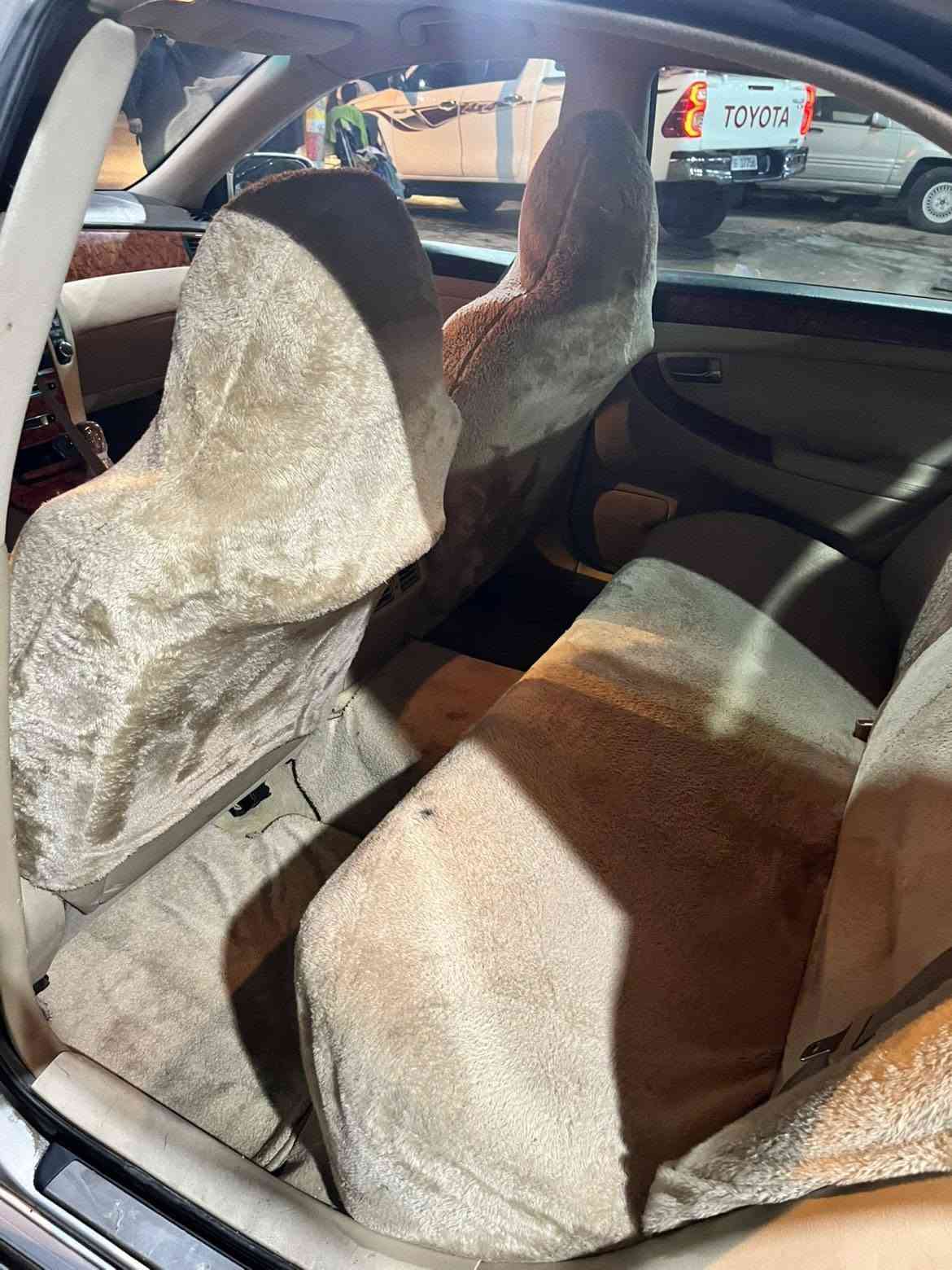 شاینە • دركسيون كهربا • صبغ