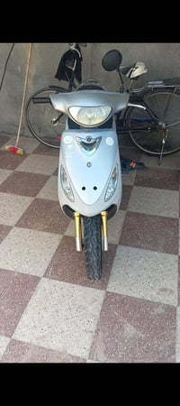 منغولي • نهضه • معدل