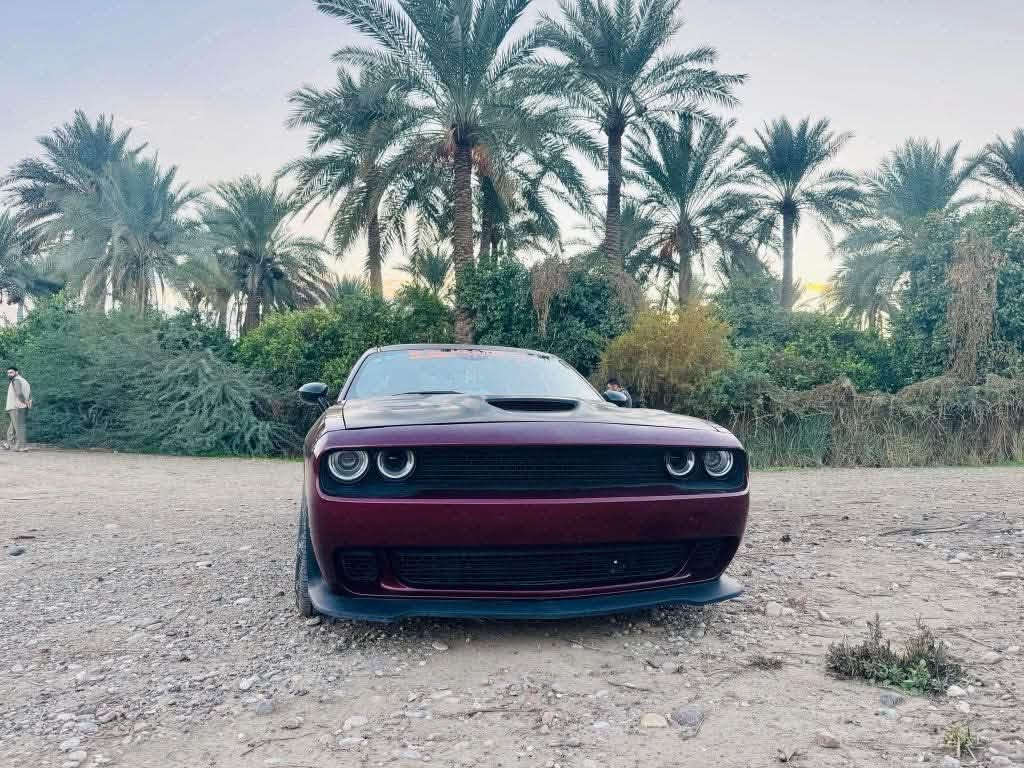 جالنجر RT • ٢٠١٧ • رقم بغداد
