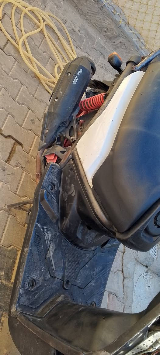 سكنس جبلي • بلاديه • مكينه ناعمه