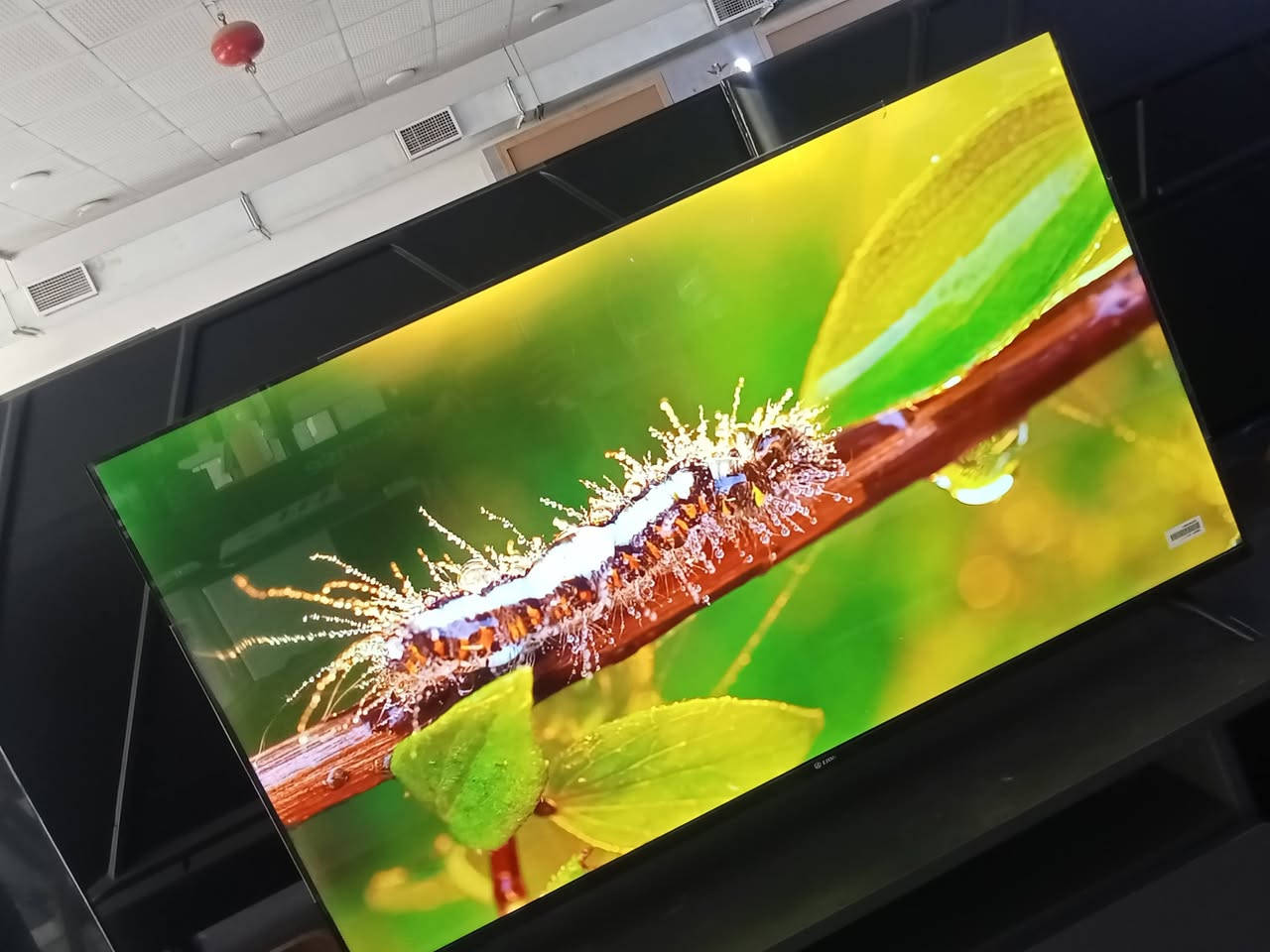 العنوان ناصريه
السلام عليكم:شاشة ليون حجم 50 بوصه جديده كرتون صار شهرين من أشتريته جاهزه الدقه4k اشغلك مقاطع 2100 يعني دقه ممتازه مثل ما موجود بالفيديو،السعر 375 وبيهه مجال للشراي ،محتاج فلوس واريد ابيعه الله شاهد،تجي تاخذ شاشه بالكرتون مال الشركه.
للاتصال الرقم ***********
العنوان طريق ناصريه غراف قرب ملعب الأدراه قيد الانشاء
