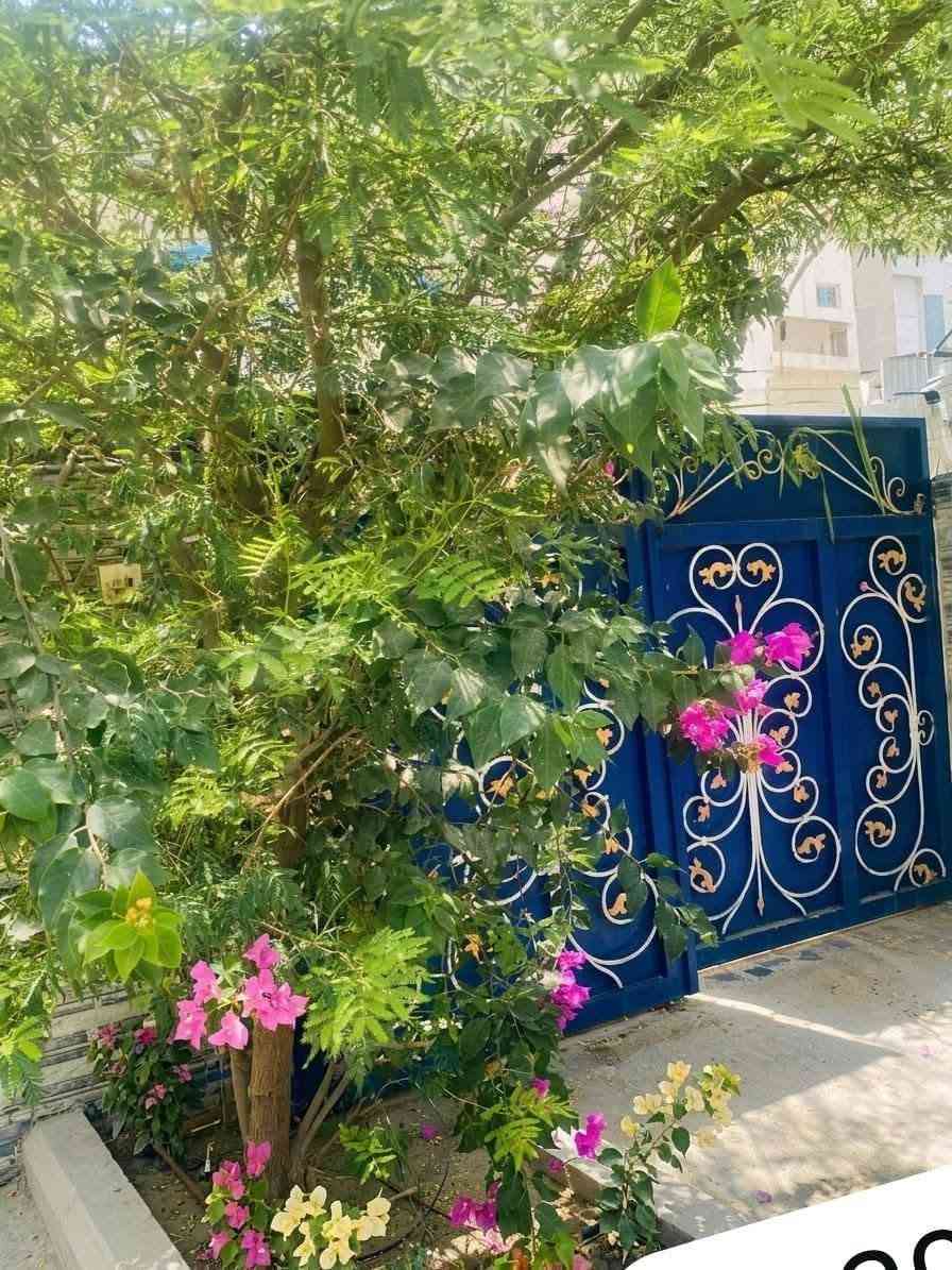 عقار للبيع في حي التربية – البنوك
📍 خلف مطعم الملكة، شارع مثلجات الصفصاف، مقابل ساحة وتشجير  

- المساحة: 360 متر (12×30)  
- يحتوي على 5 وحدات سكنية  
  - 2 وحدات في الطابق الأرضي  
  - 3 وحدات في الطابق الثاني 
4_ جميعهن مستقلات ( كل وحدة باب مستقل) 
- صالح للسكن أو للاستثمار (  معهد. مدرسة) 

💰 سعر المتر مناسب ومنافس  

📞 للاستفسار والاتصال على الأرقام المتوفرة
***********
أو واتس
***********

