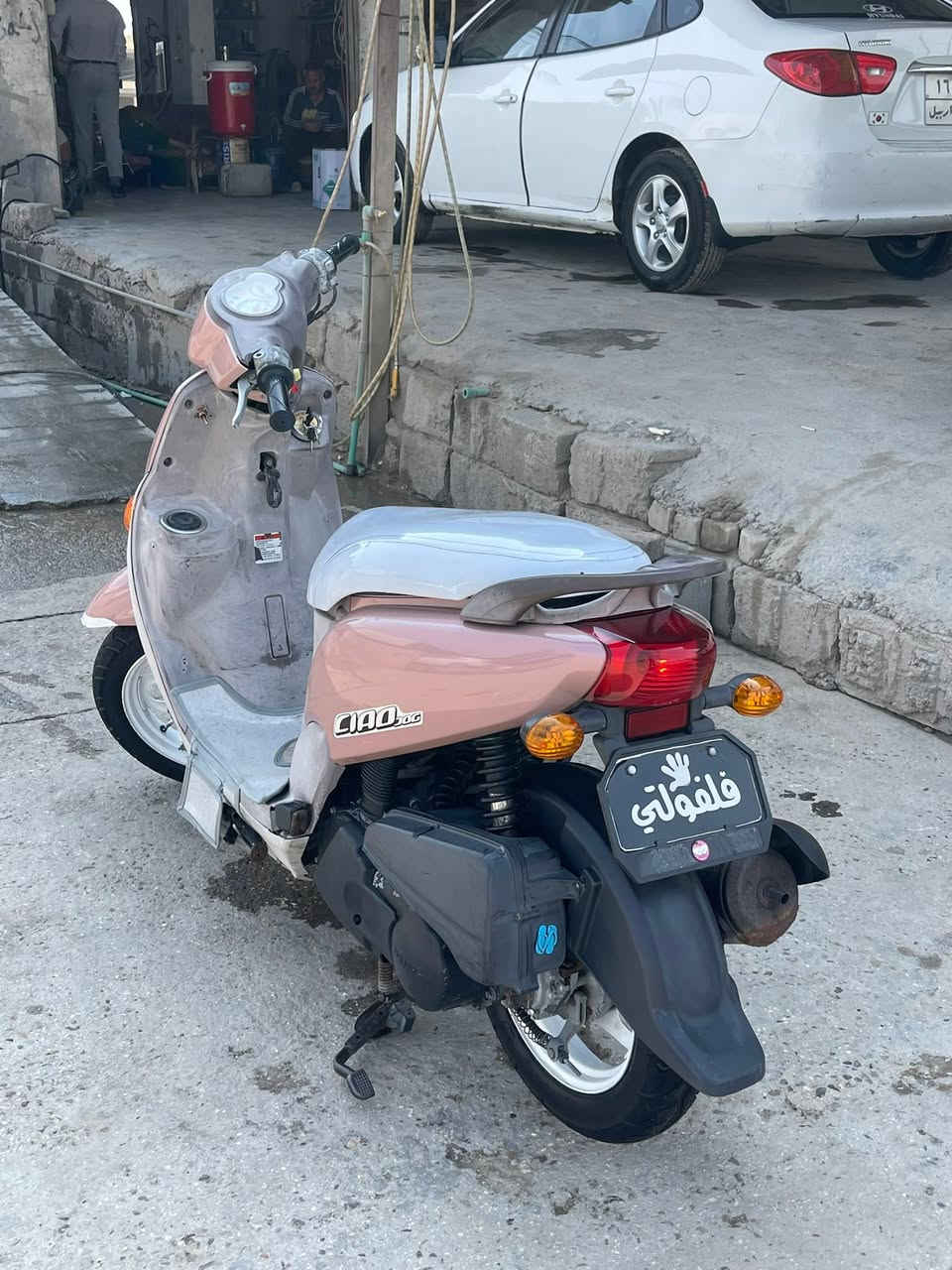 فله • كارتون • اشاير