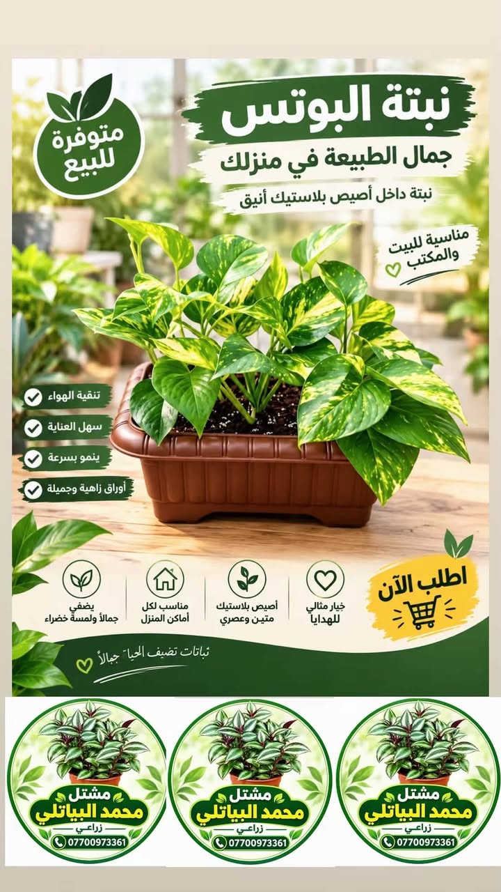 مشتل محمد البياتلي • بوتس • كوليوس
