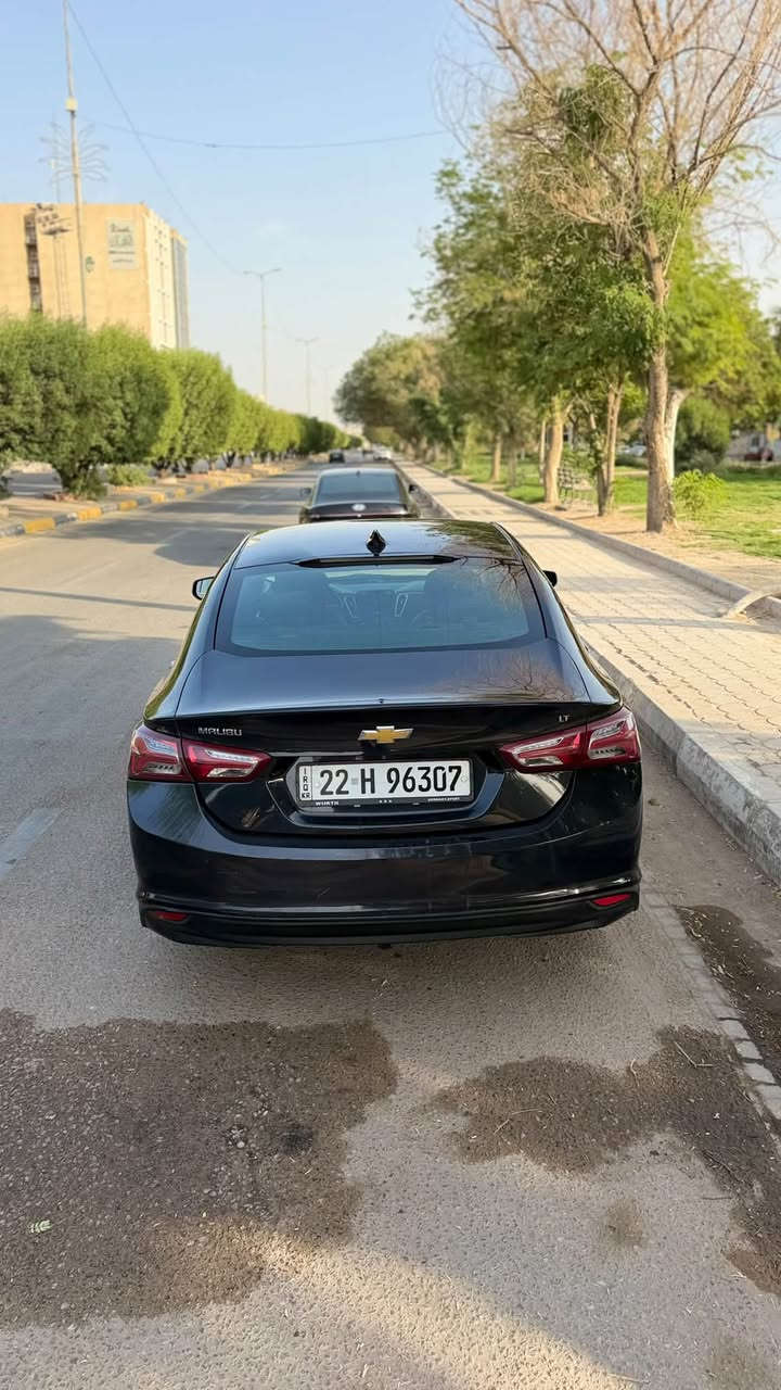 ماليبو • ٢٠٢٢ • رقم اربيل