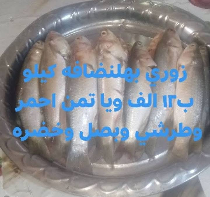 الرئاسه شارع ٢٠ • توصيل • برياني دجاج