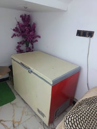 مجمدة • جديدة • مگاني ناصرية