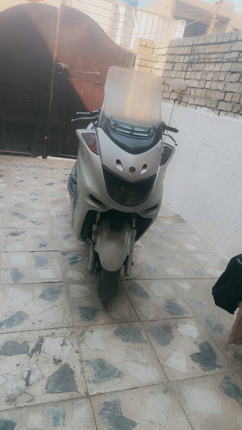 ماجستا ياباني بيع او مراوس. سعر 0773266810 بغداد            500