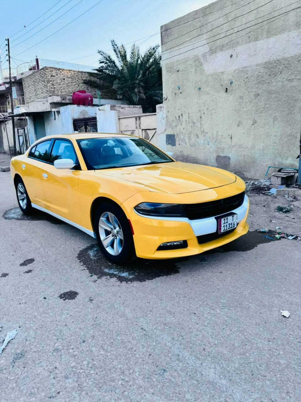 🔺دخول جديد دوج جارجر امريكي🔺

الموديل .2023🪬 اصل 

               (الاصدار الاخيرررر)

              اللون . اصفر  مميز 💛

المسافة المقطوعة 54 mi فقط وظع الوكالة

حجم المحرك 3600

(كفاله السياره)

مواصفات السيارة ..

-كامرة خلفية دوارة HD

-لايتات زنون وكالة

-تشغيل عن بعد 

-كشنات حضن مع تحكم كهرباء

-حساس خلفي

- بلوجكترات زنون لد امامي 

-شاشة كبيره مع نضام GPS

-مري جانبية هيتر مع عاكس الضوء

-نضام USB- كامل 

-تبريد قطعتين

-بصمة ابواب 

ويل 18 تخم تاير جديد 

( رقم بغداد نكليزي بسمي مامشتغله خط ولاعبري صاعد بيها) لون ابيض أصل السياره جديده وجاهزه واحله من الصوره بعد منضومه غاز

مكان السيارة الديوانية 🫵

اي استفسار الاتصال. متوفر وتس اب 

📞‏‪‏‪***********‬‏
