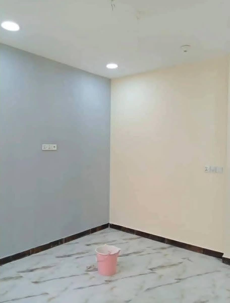 أصباغ شقق • معالجة جدران • ألوان عصرية