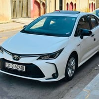 كورلا هايبرد • ٢٠٢٤ • رقم بغداد