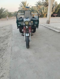 ستوته • ٢٠١٩ • أوراق اصولي