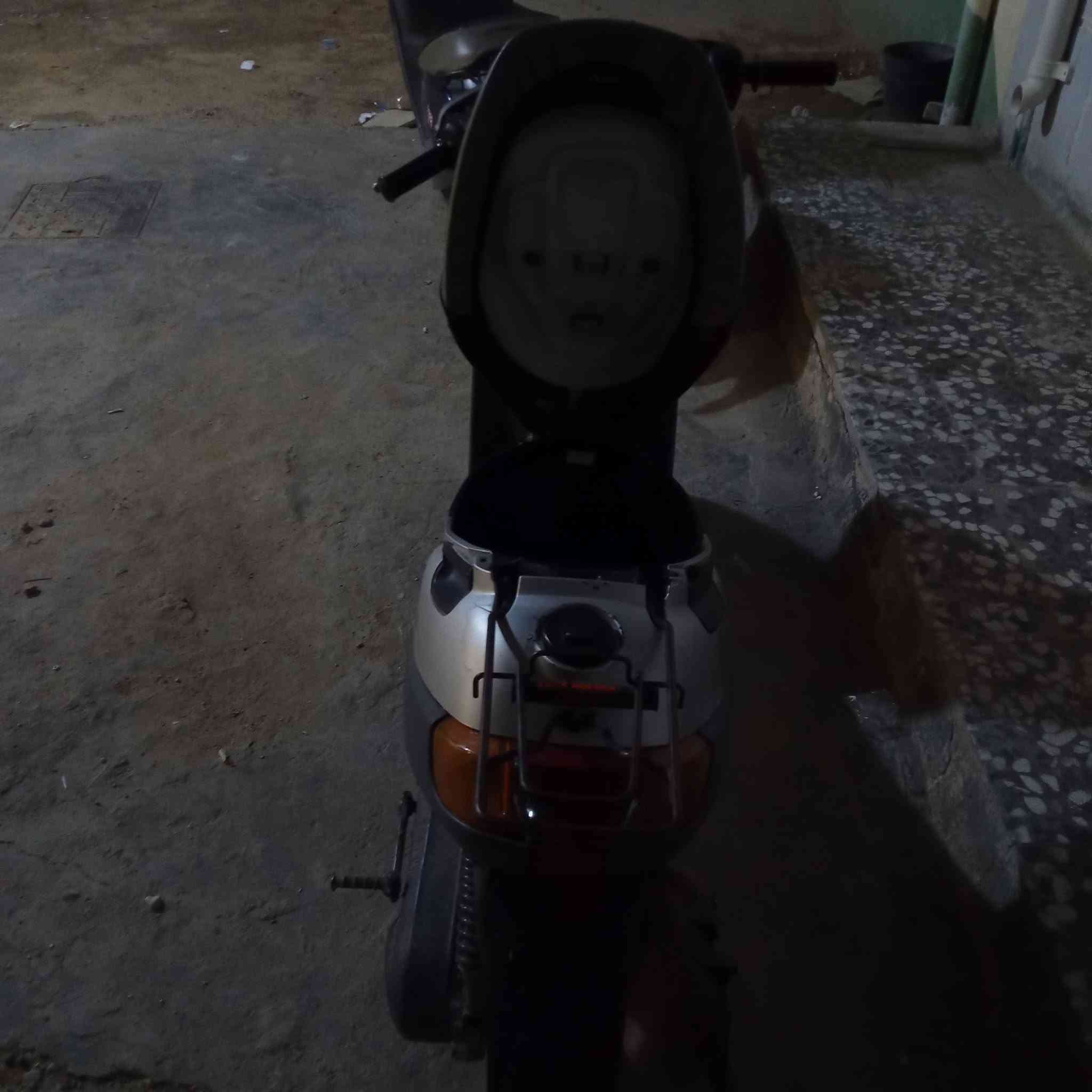بطة • مجال قليل • للبيع