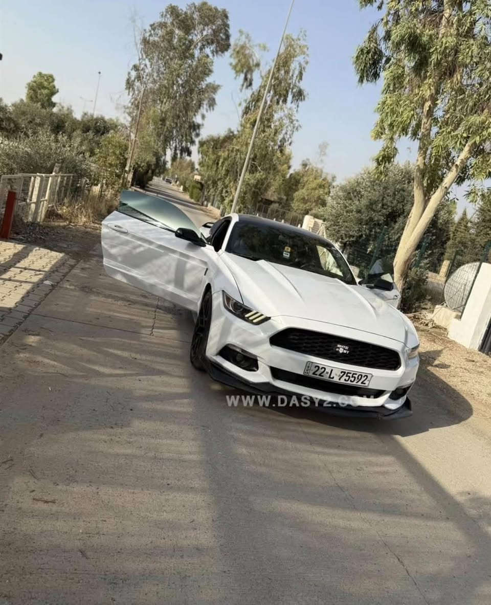 موستنك • ٢٠١٧ • رقم اربيل