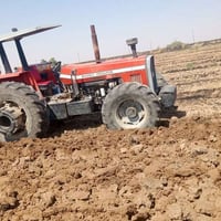 فوركسن برازيلي • ٢٠٠٠ • حويجة