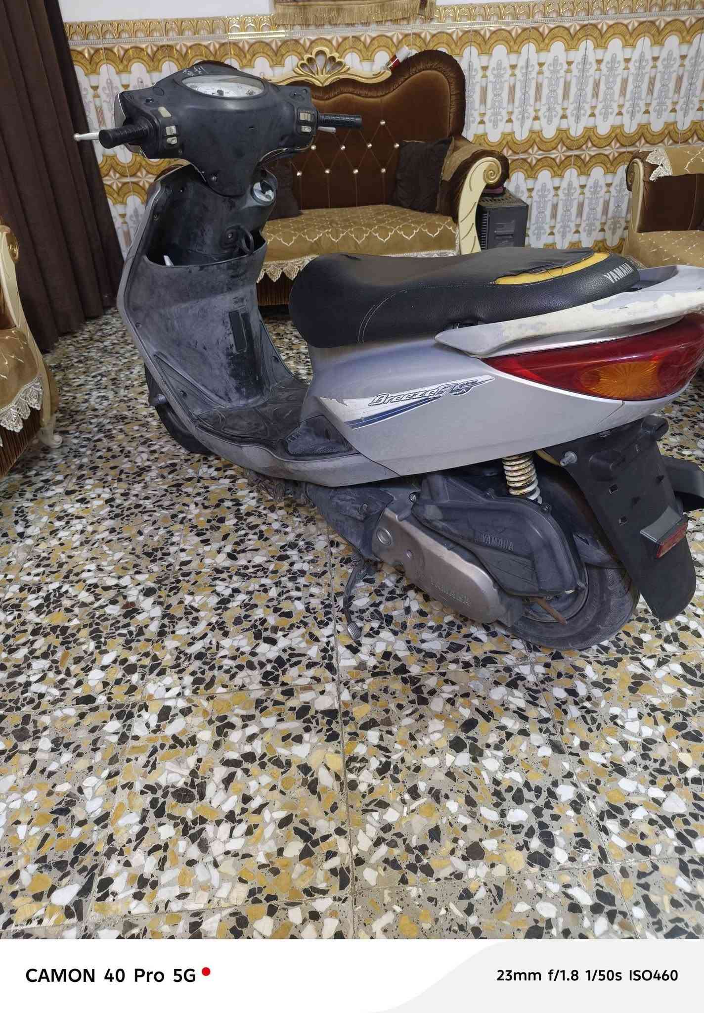 اكزز بغبغاء • شهرين • حالة الوكالة