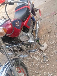جونده • ٢٠١٤ • كهربائية