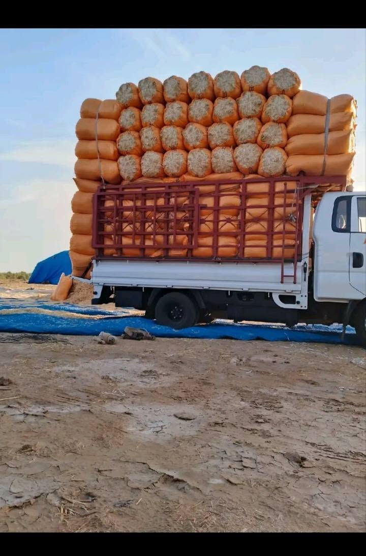 وين اليدورون النضيف  والستندر  وحجم 60 الطول 83 يمي تبناية عل فحص ذا بيهة قطرت تراب مرجوعة بسعر مناسب جداً جداً سعر الزوج ب2500 وترس دج خابر ودلل علينة 
 ***********
ابو حسين
يوجد توصيل سامراء  تكريت  دور. العلم. ناحية المعتصم الظلوعيه.  السحاقي ناحية العذيه بلد دجيل بلقرب  من علوت المخضر بغداد 
التاجي . الطارمية .المشاهده  عبايجي 
نستقبل اتصالاتكم من سبعه صباحا حتى الساعة العاشرة والنصف مساء
