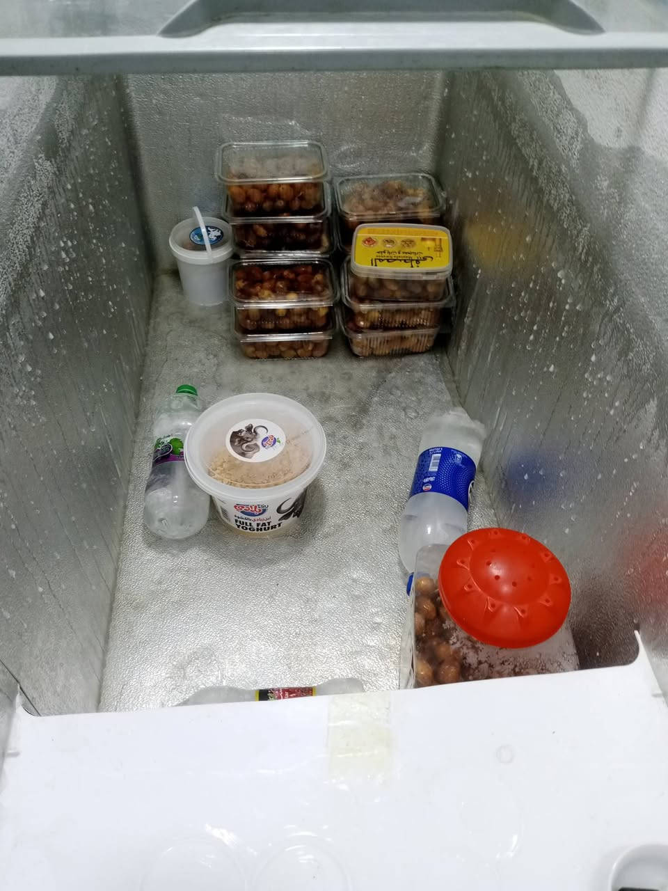مجمدة • جديدة • نظيفة