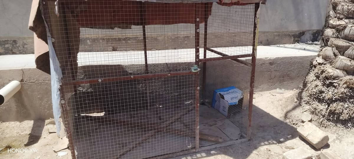 للبيع اقفاص حديد العدد ٢ المكان بابل شارع 30/ ***********

